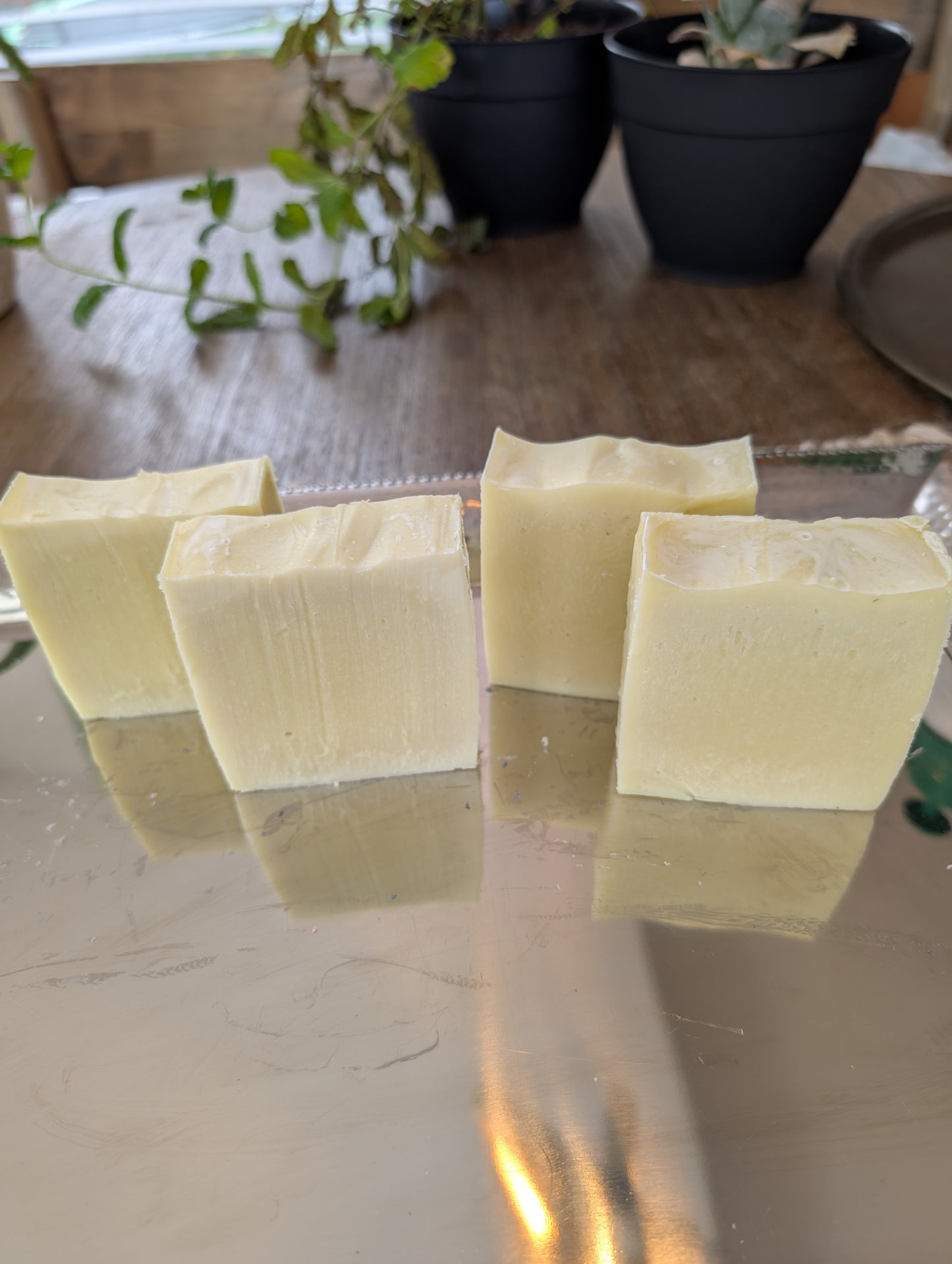 Olive Oil & Coconut Bar